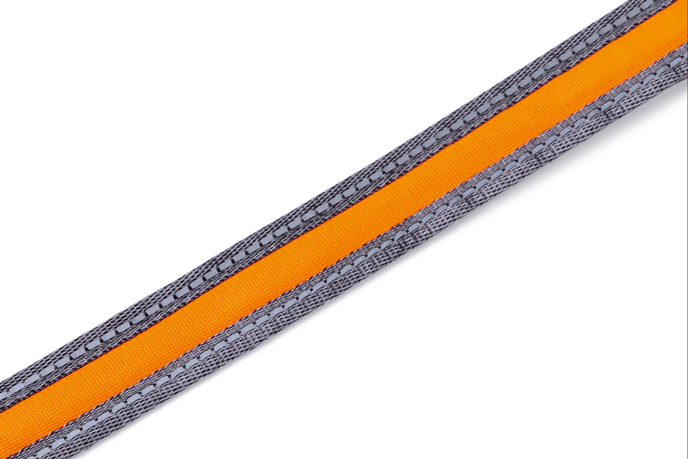 Beeztees Köpek Yürüyüş ve Koşu Şok Emicili Gezdirme Kayışı ve Bel Kemeri, Gri, 180-200cm, 25mm