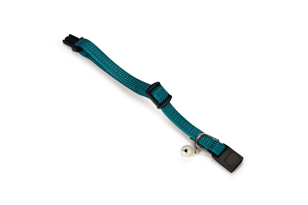 Beeztees Yavru Kedi Boyun Tasması, Zilli, Yeşil, 15-22cm