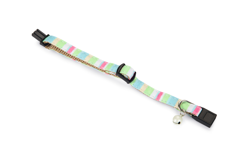 Beeztees Yavru Kedi Boyun Tasması, Zilli, Yeşil, 16-32cm