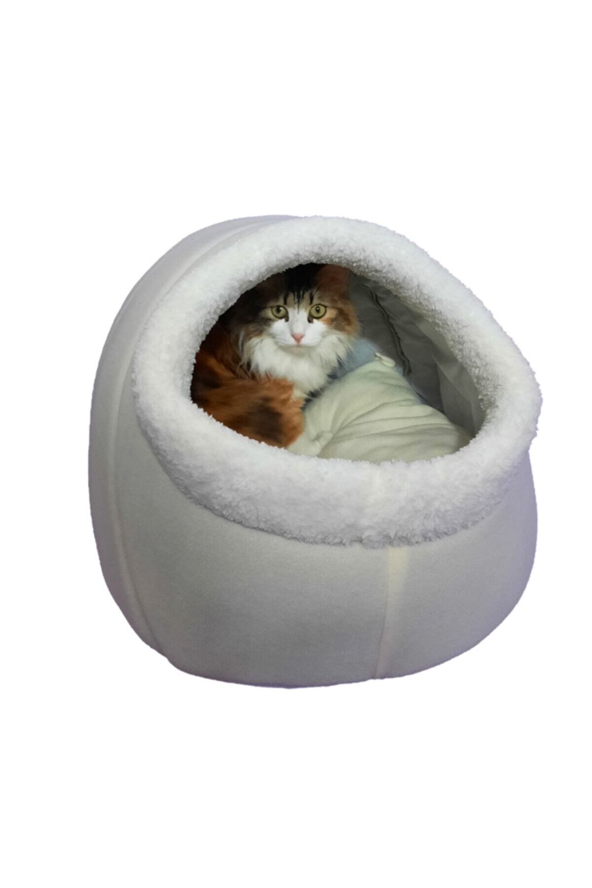 Beyaz Alaska Kedi Evi Yuvası