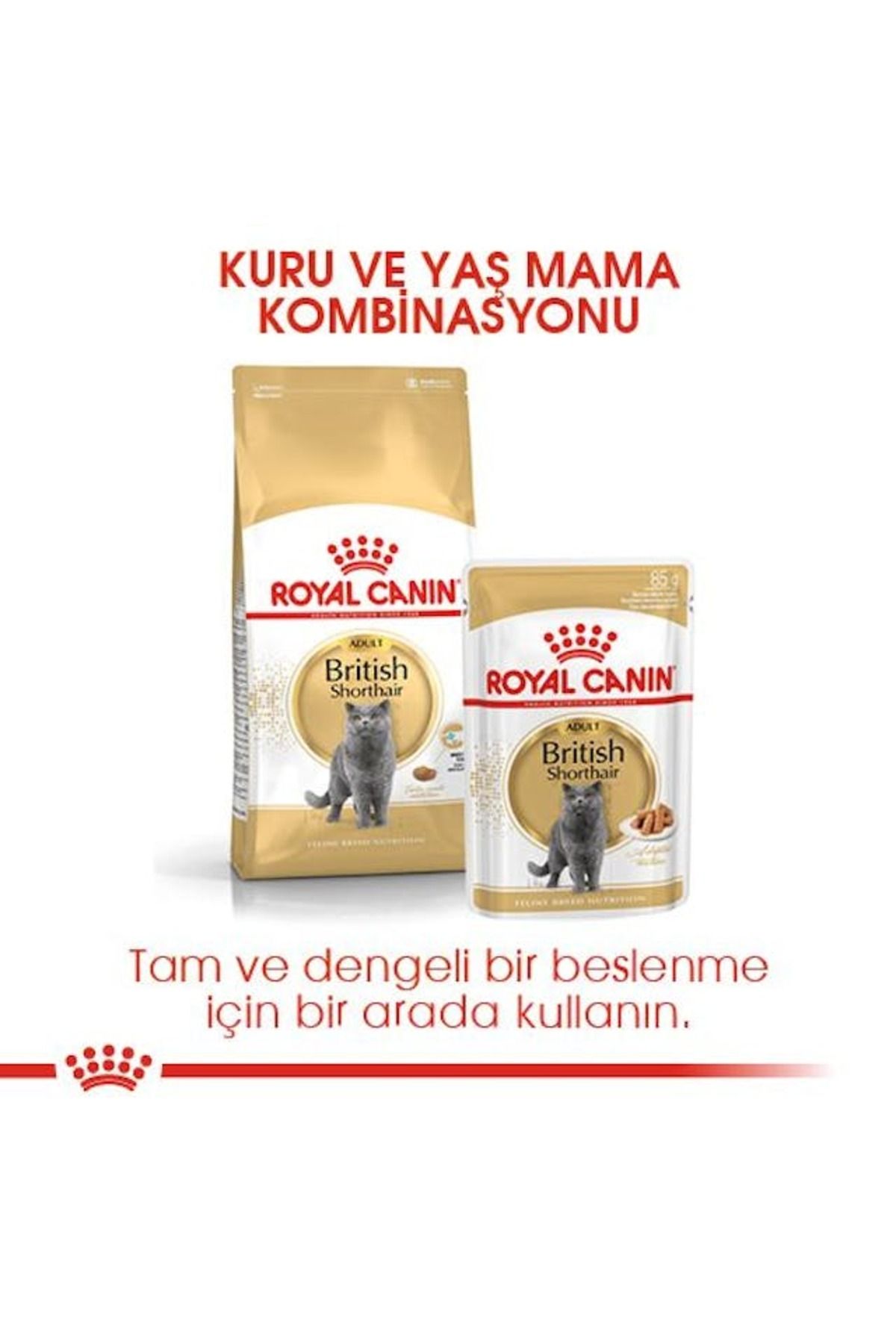 British Shorthair Adult Kedi Kuru Maması 2 Kg