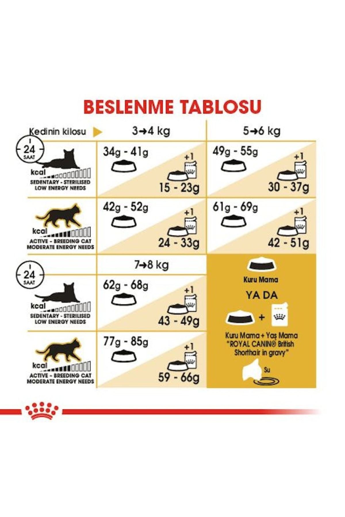 British Shorthair Adult Kedi Kuru Maması 2 Kg