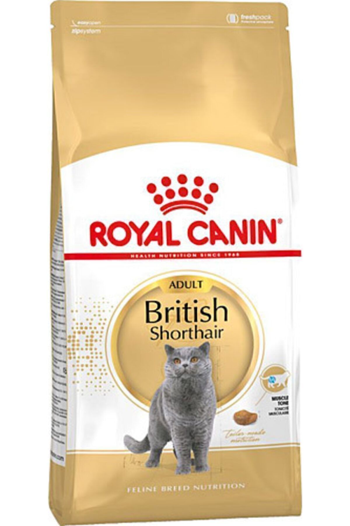 British Shorthair Adult Yetişkin Kedi Maması 4 kg