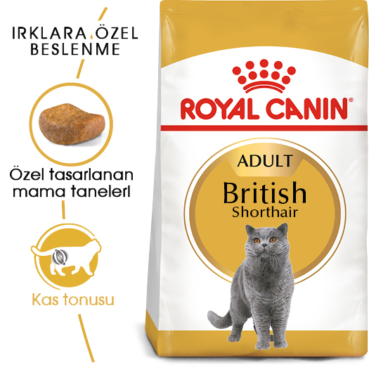 Royal Canin British Shorthair Adult Yetişkin Kedi Maması 400 Gr
