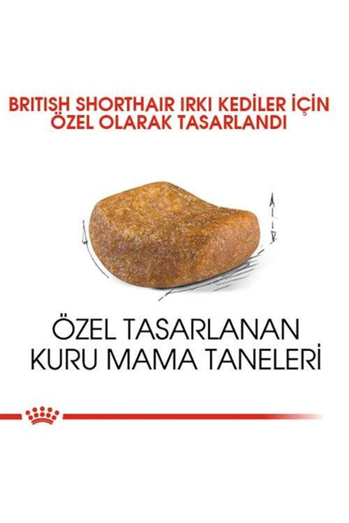 British Shorthair Kedilerine Özel Mama 10 Kg