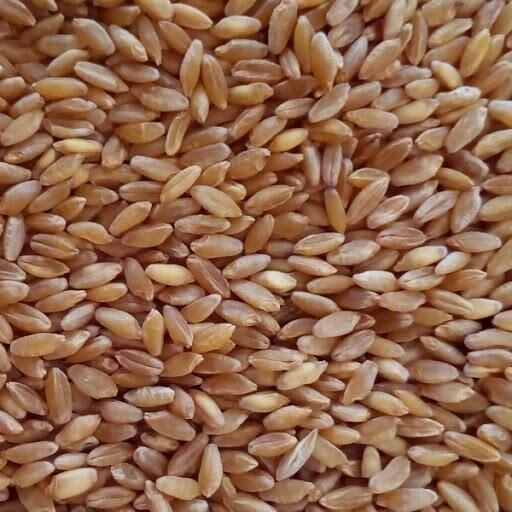 Buğday (Urfa) -25Kg