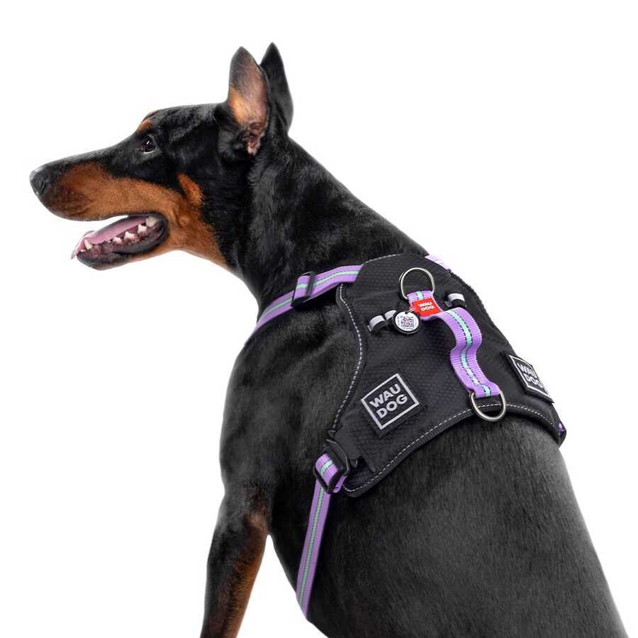 Collar Waudog Fosforlu ve QR Pasaportlu Köpek Göğüs Tasması XL Mor 25mm (52519)