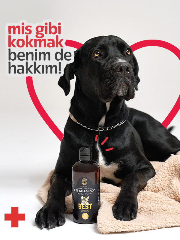 Doku Pet Sampoo 500 ml Doku Pet Sampoo 500 ml