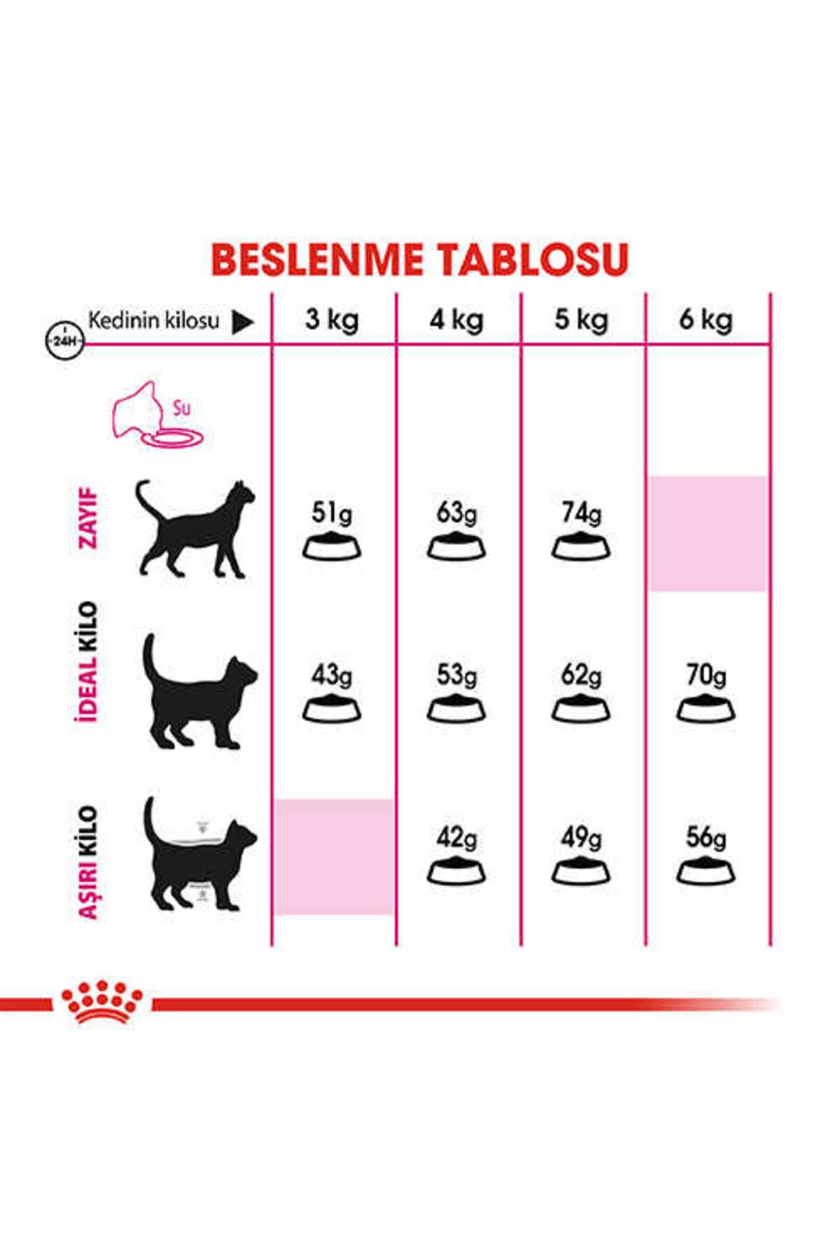 Exigent Savour Seçici Yetişkin Kedi Maması 2 Kg