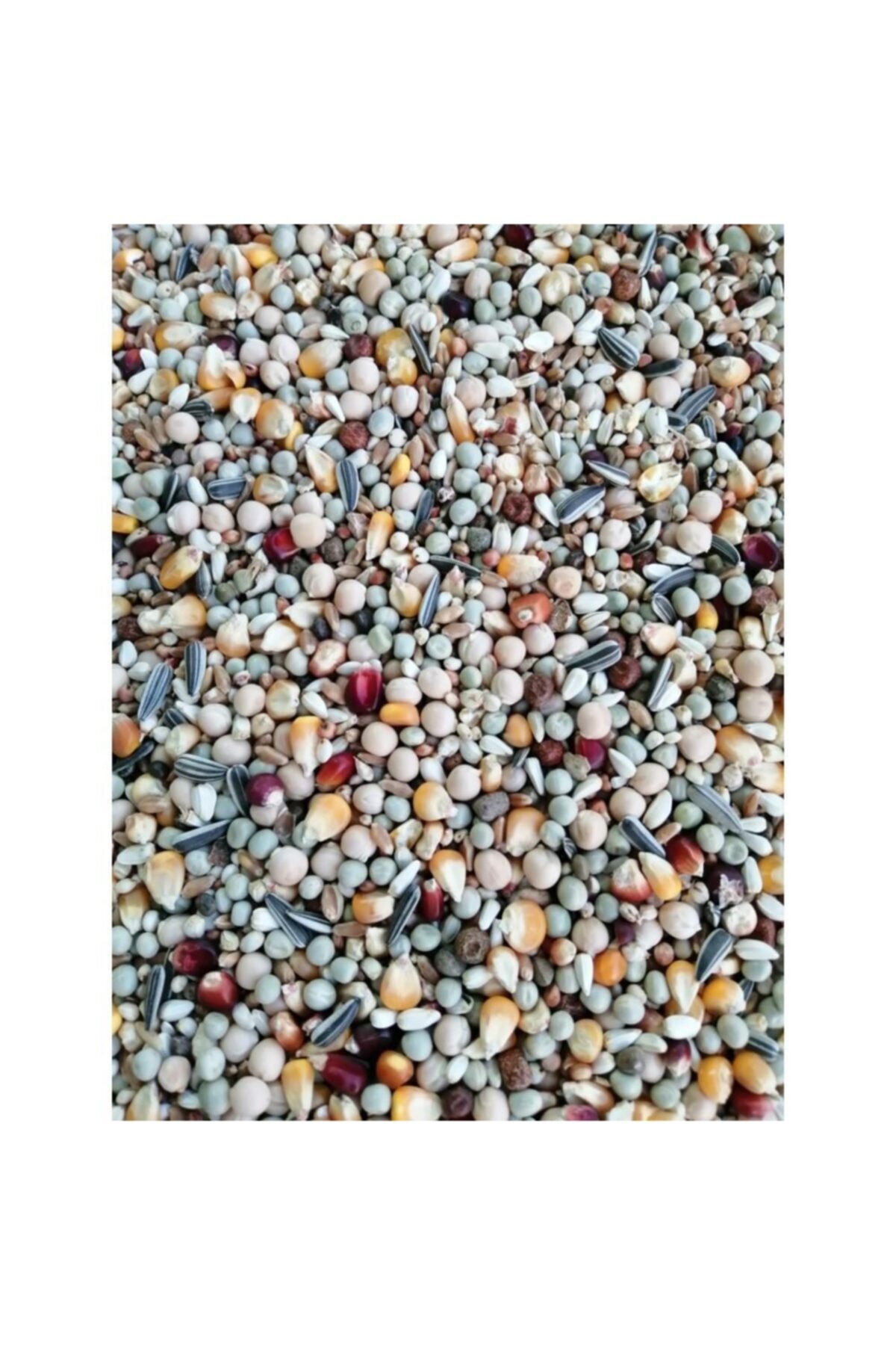 Tippler Finessemix Kostüm Güvercin Yemi-20 Kg