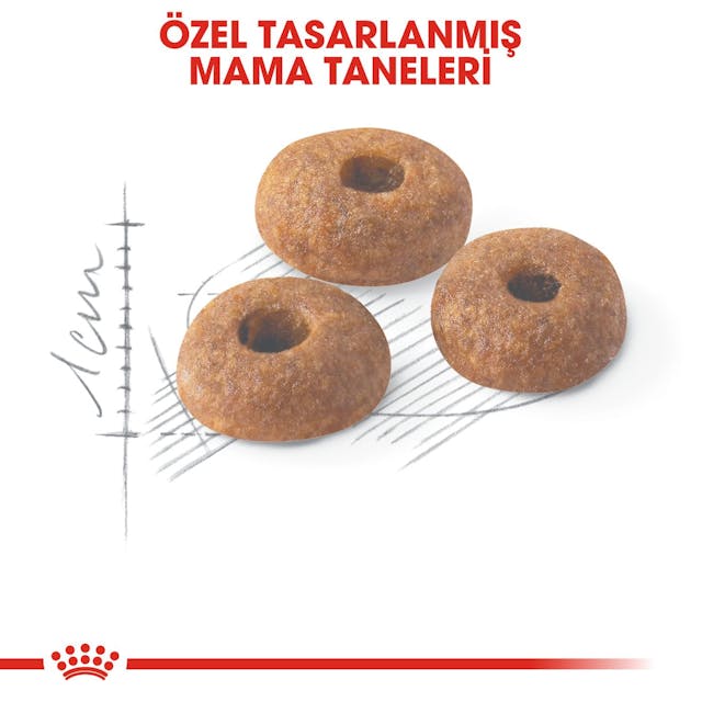 Royal Canin Fit 32 Yetişkin Kedi Maması 10 Kg Royal Canin Fit 32 Yetişkin Kedi Maması 10 Kg