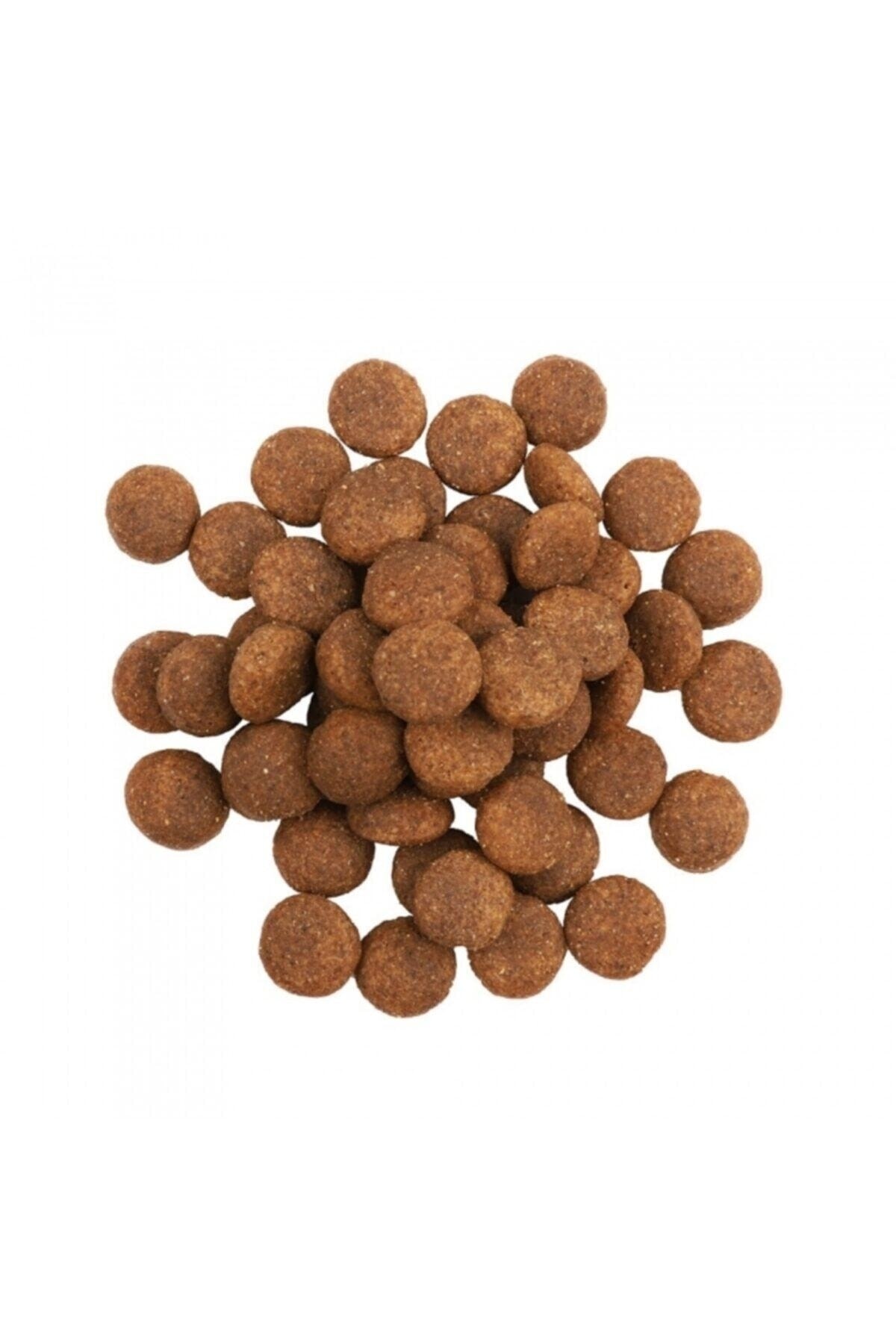 Fitmin For Life %13 Taze Biftek Etli Yetişkin Köpek Maması 14 Kg