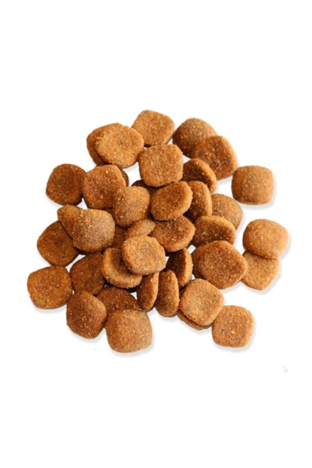 Fitmin Forlife Adult Large Breed Büyük Irk Yetişkin Köpek Maması 3 Kg