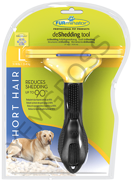 FUR. SHORTHAIR L DOG T691735