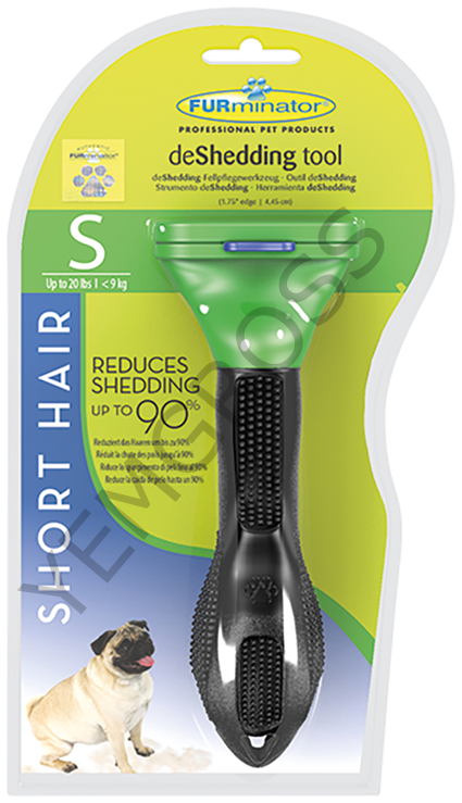 Fur. Shorthair S Dog