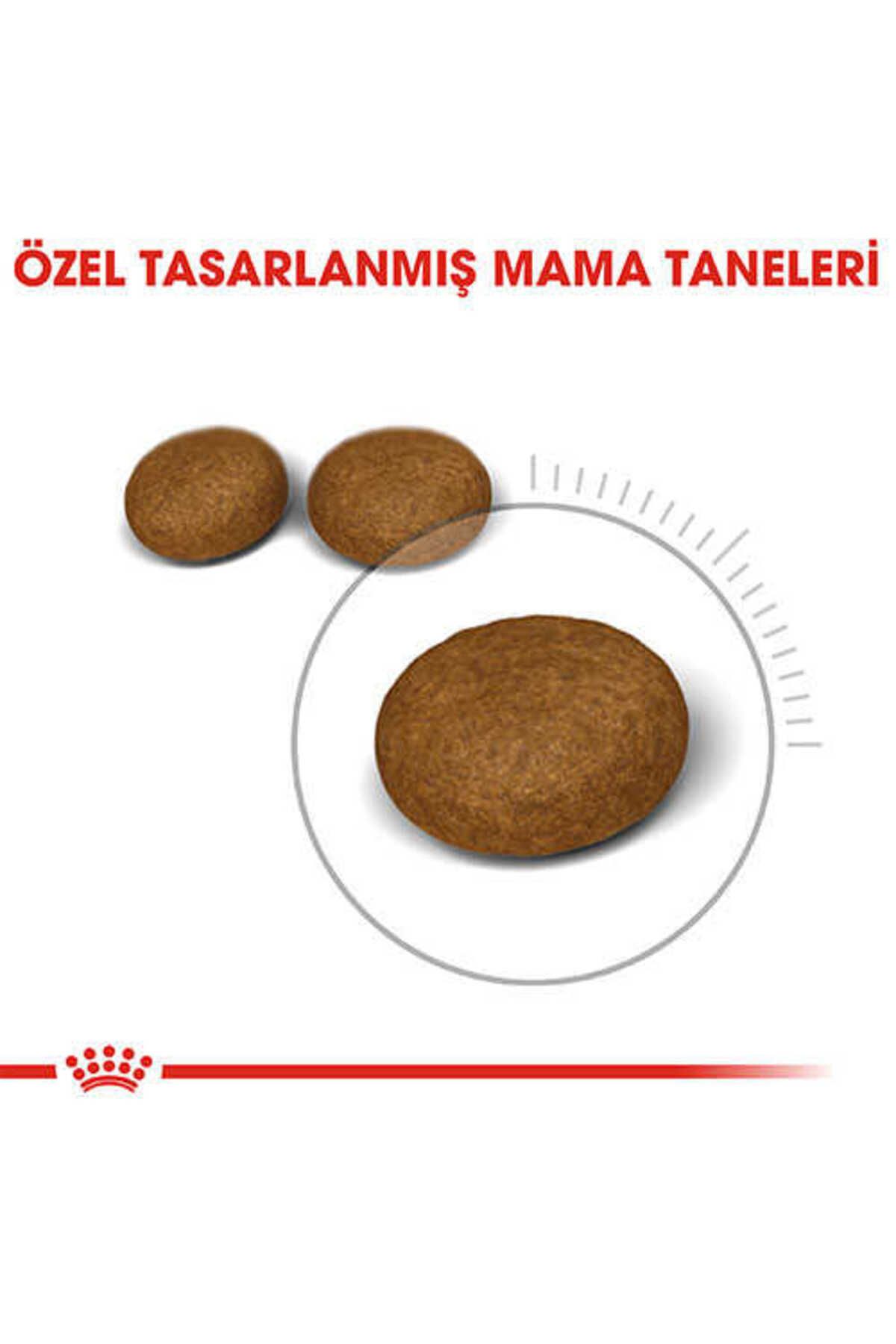 Hair & Skin Deri ve Tüy Sağlığı İçin Kedi Maması 2 Kg