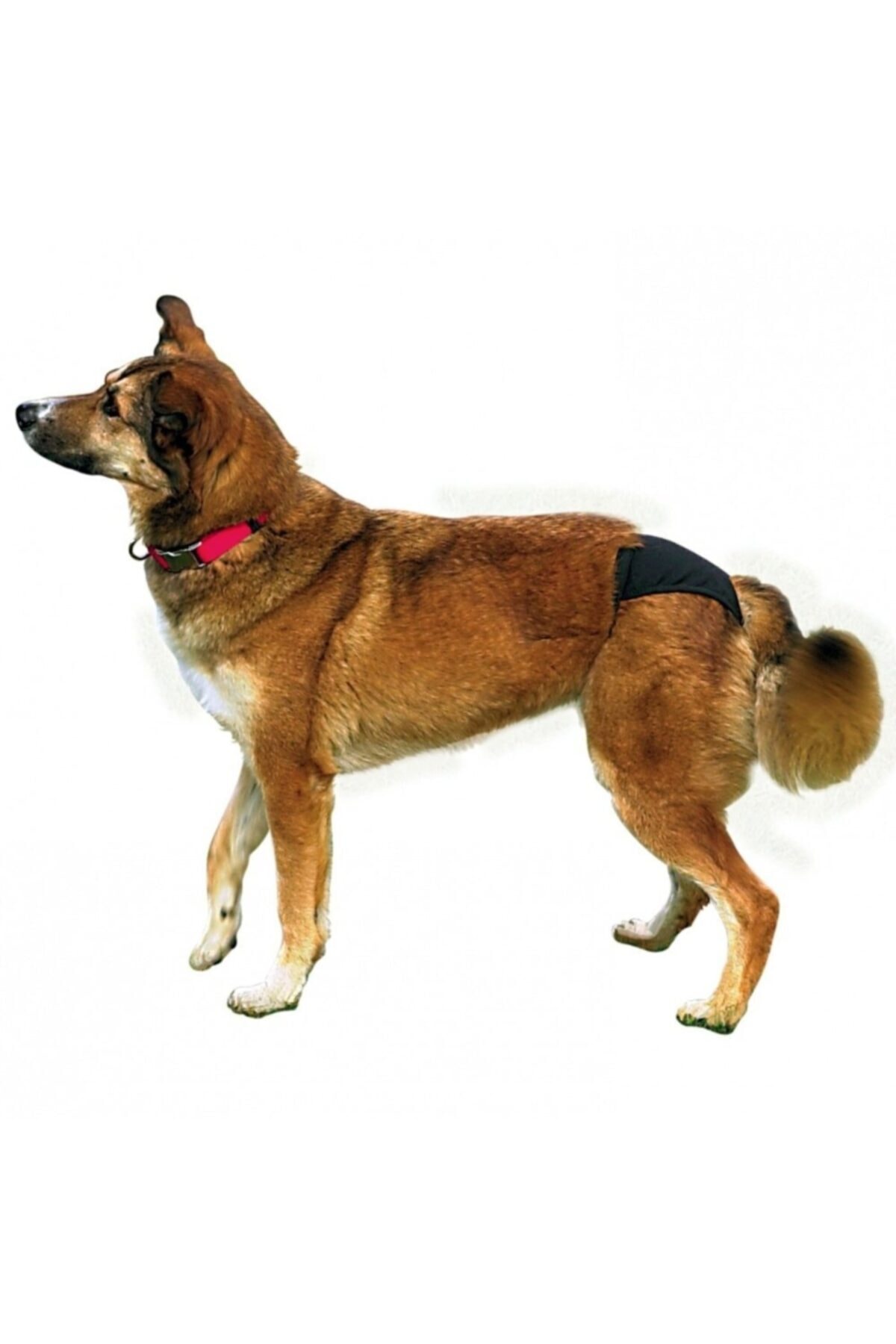 Trixie Hijyenik Köpek Külodu XL 60-70cm Siyah