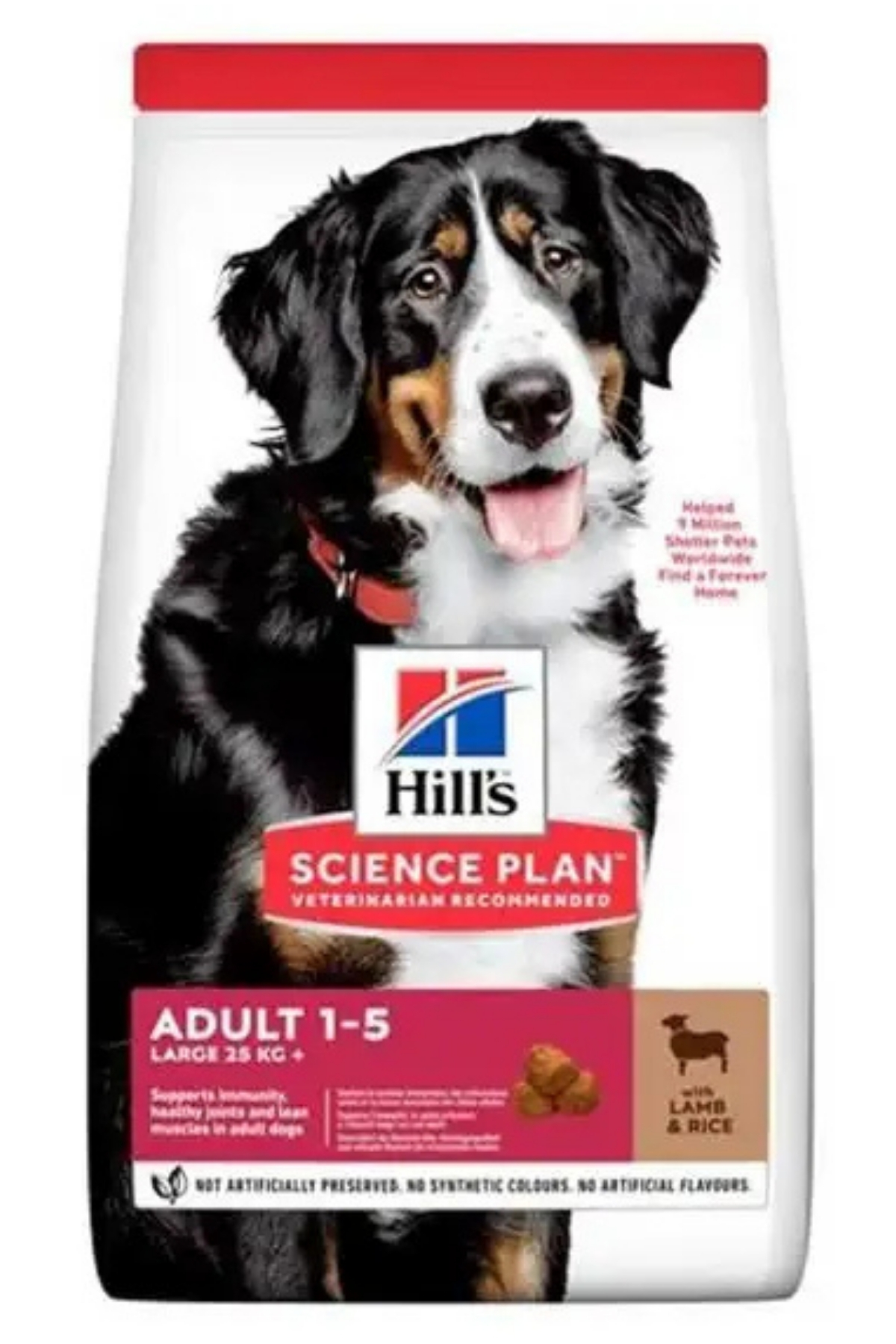 Hill's SP Kuzulu ve Pirinçli Büyük Irk Yetişkin Köpek Maması 12+2KG