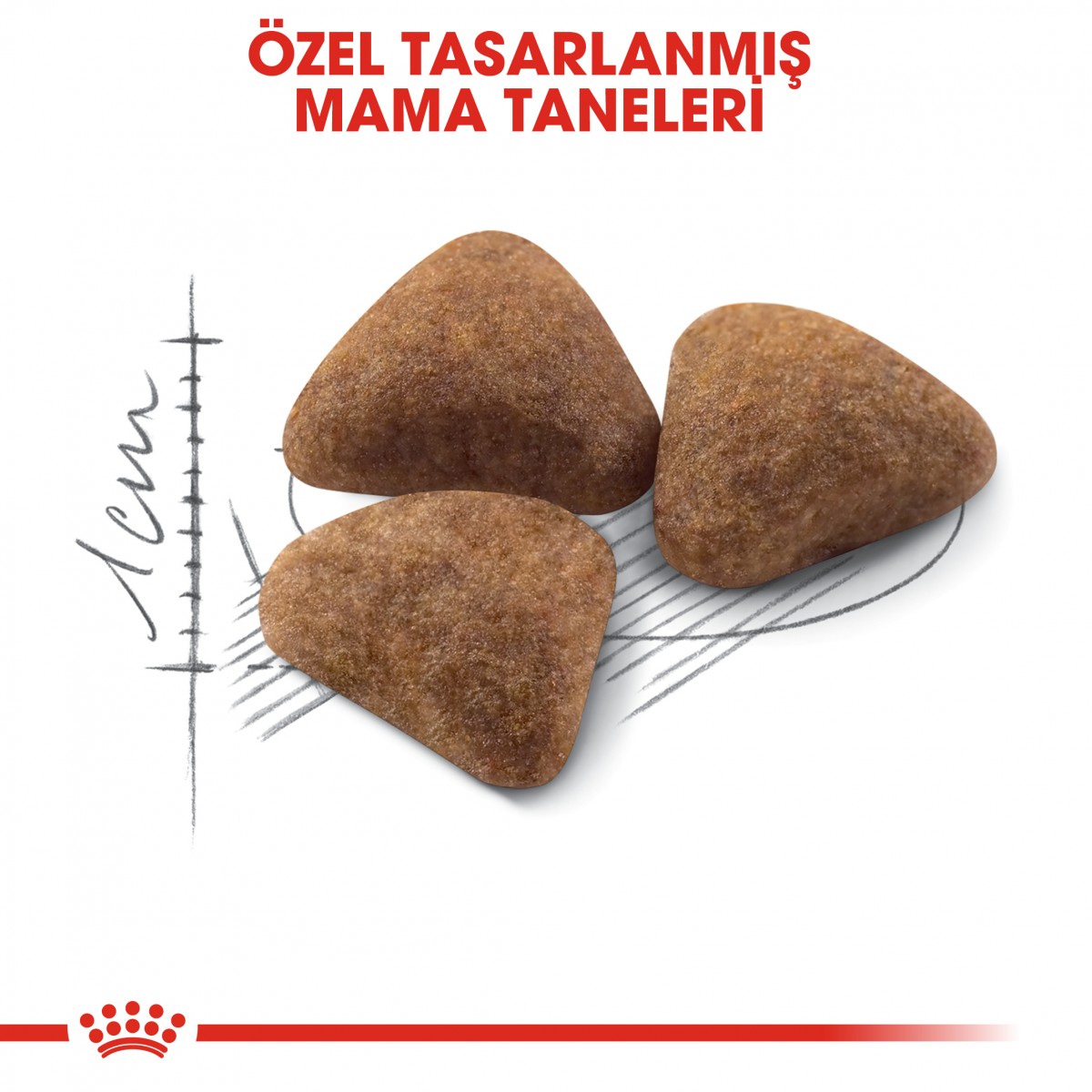 Royal Canin Indoor 27 Ev Kedileri İçin Yetişkin Kedi Maması 400 Gr