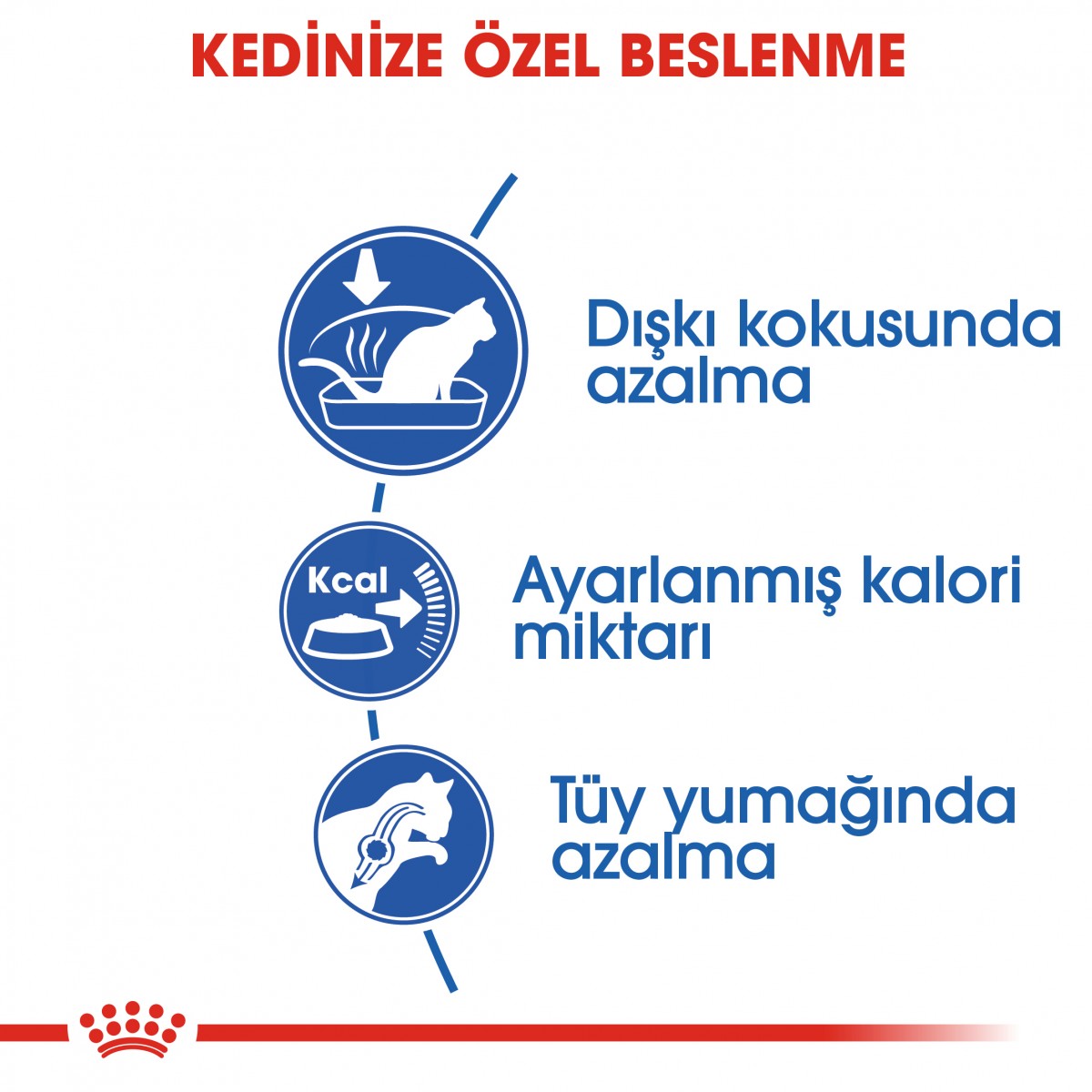 Royal Canin Indoor 27 Ev Kedileri İçin Yetişkin Kedi Maması 400 Gr Royal Canin Indoor 27 Ev Kedileri İçin Yetişkin Kedi Maması 400 Gr