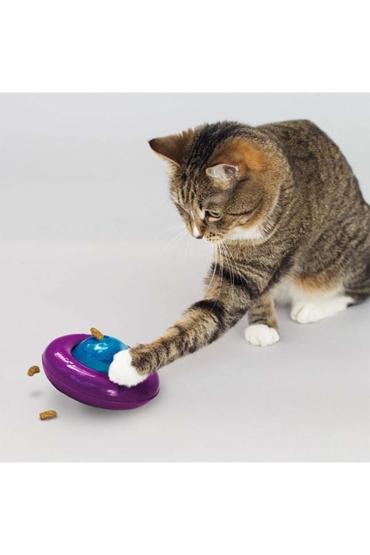 Kong Infused Cat Gyro Kediotlu ve Zilli Kedi Oyun Topu