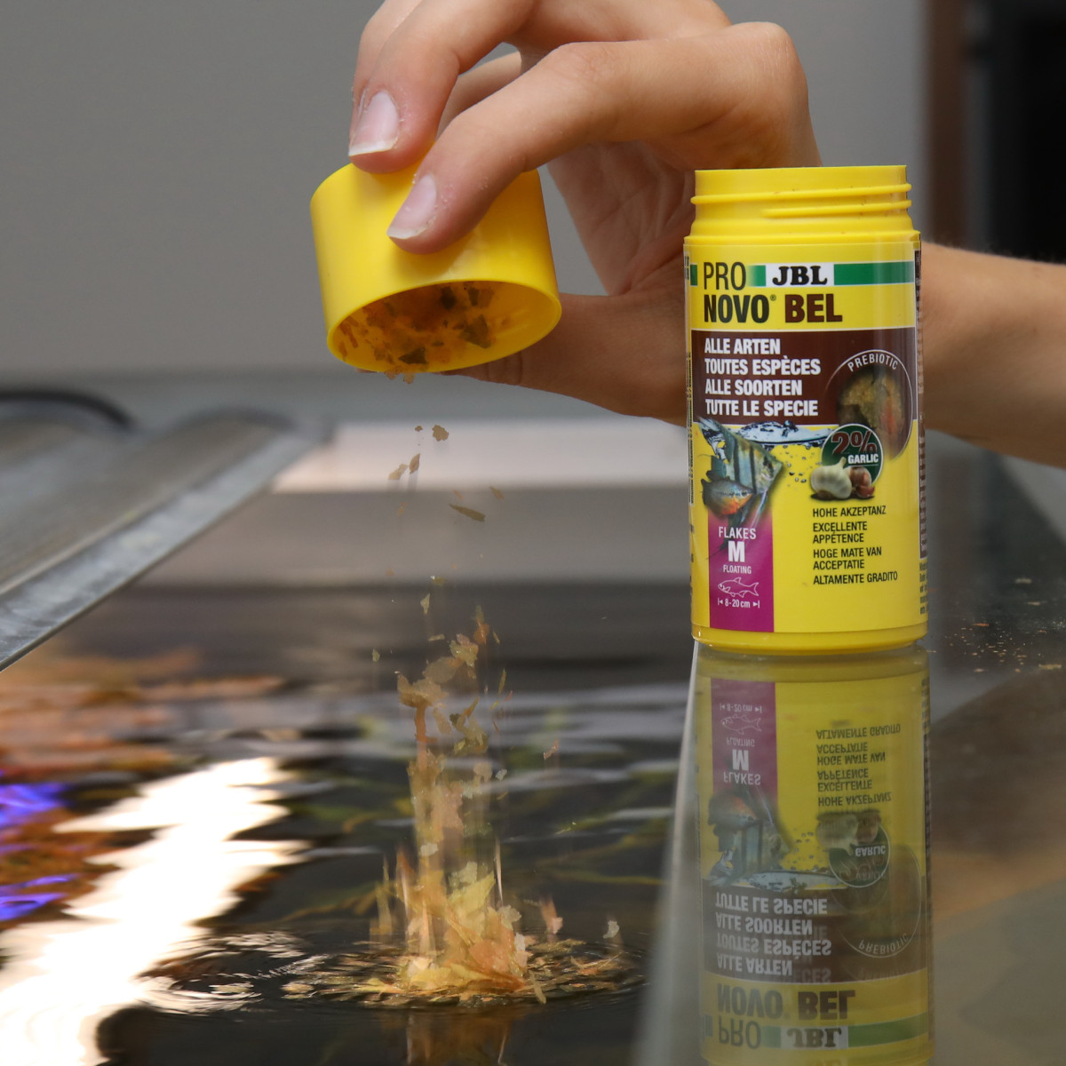 Jbl Pronovo Bel Flakes M 100ml Jbl Pronovo Bel Flakes M 100ml