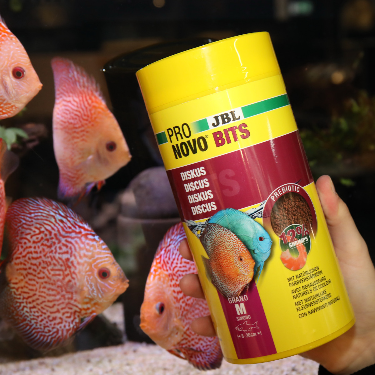 Jbl Pronovo Bıts Grano M 250ml Jbl Pronovo Bıts Grano M 250ml