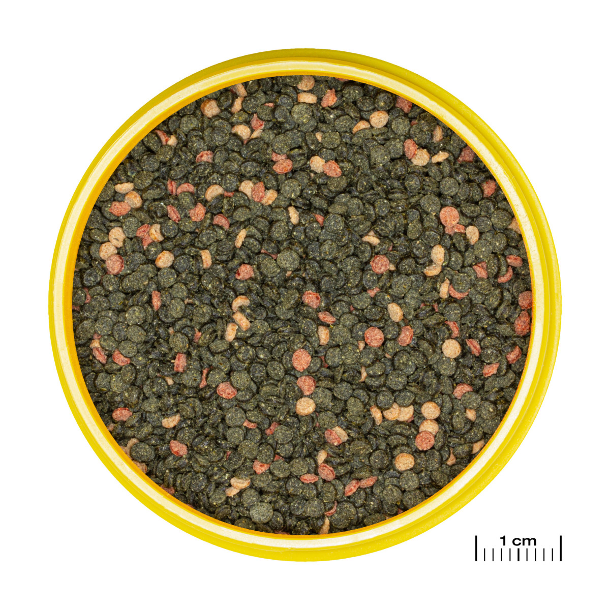 Jbl Pronovo Malawı Grano M 5,5l
