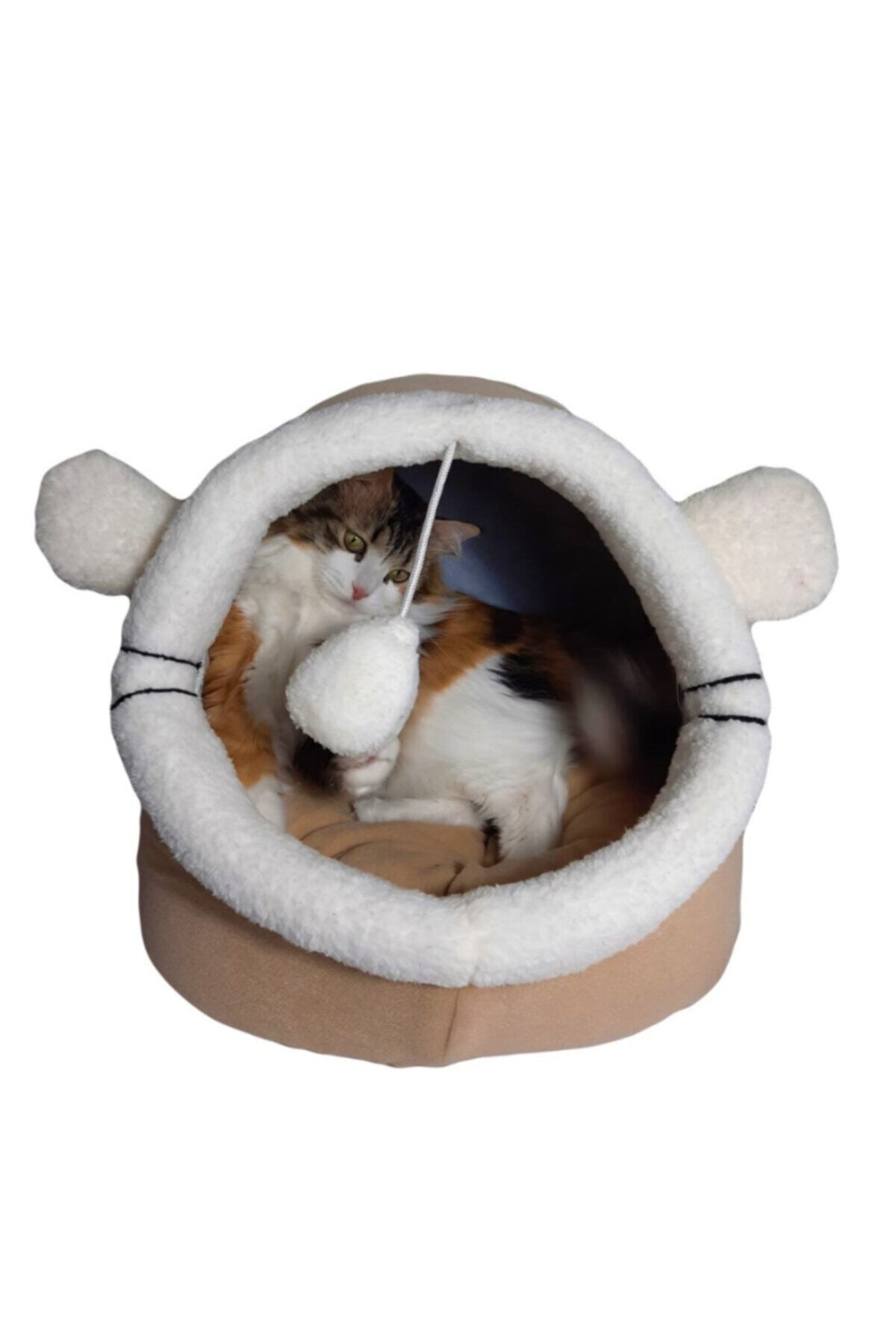 Kahverengi Kulaklı Alaska Kedi Evi Yuvası Mağara