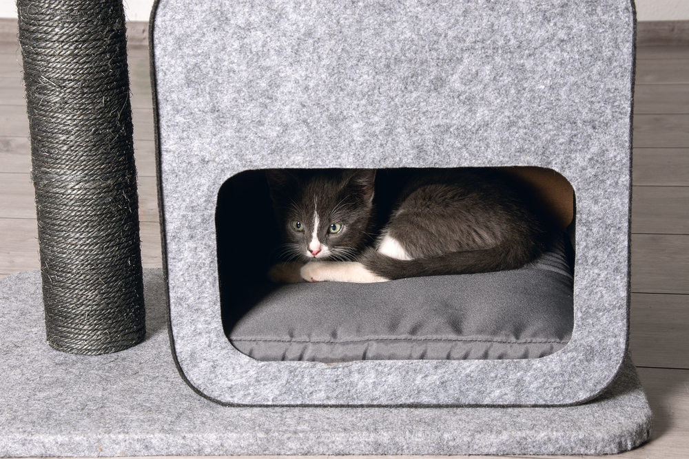 Karlıe Kedi Tırmalama+ev Flavıe Gri 60x40x77cm