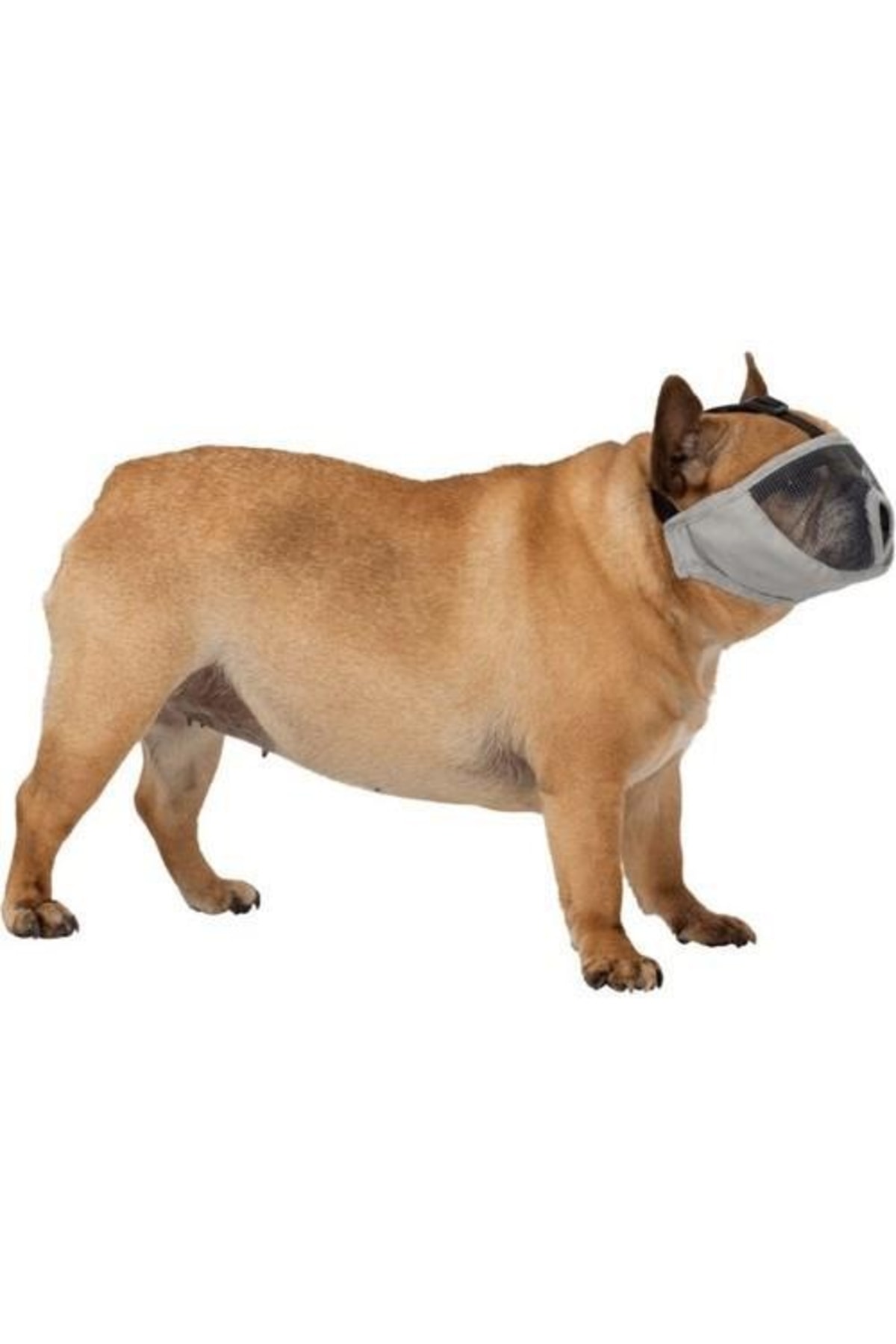 Trixie Kısa Burunlu Köpek Ağızlığı S-M Kısa Gri