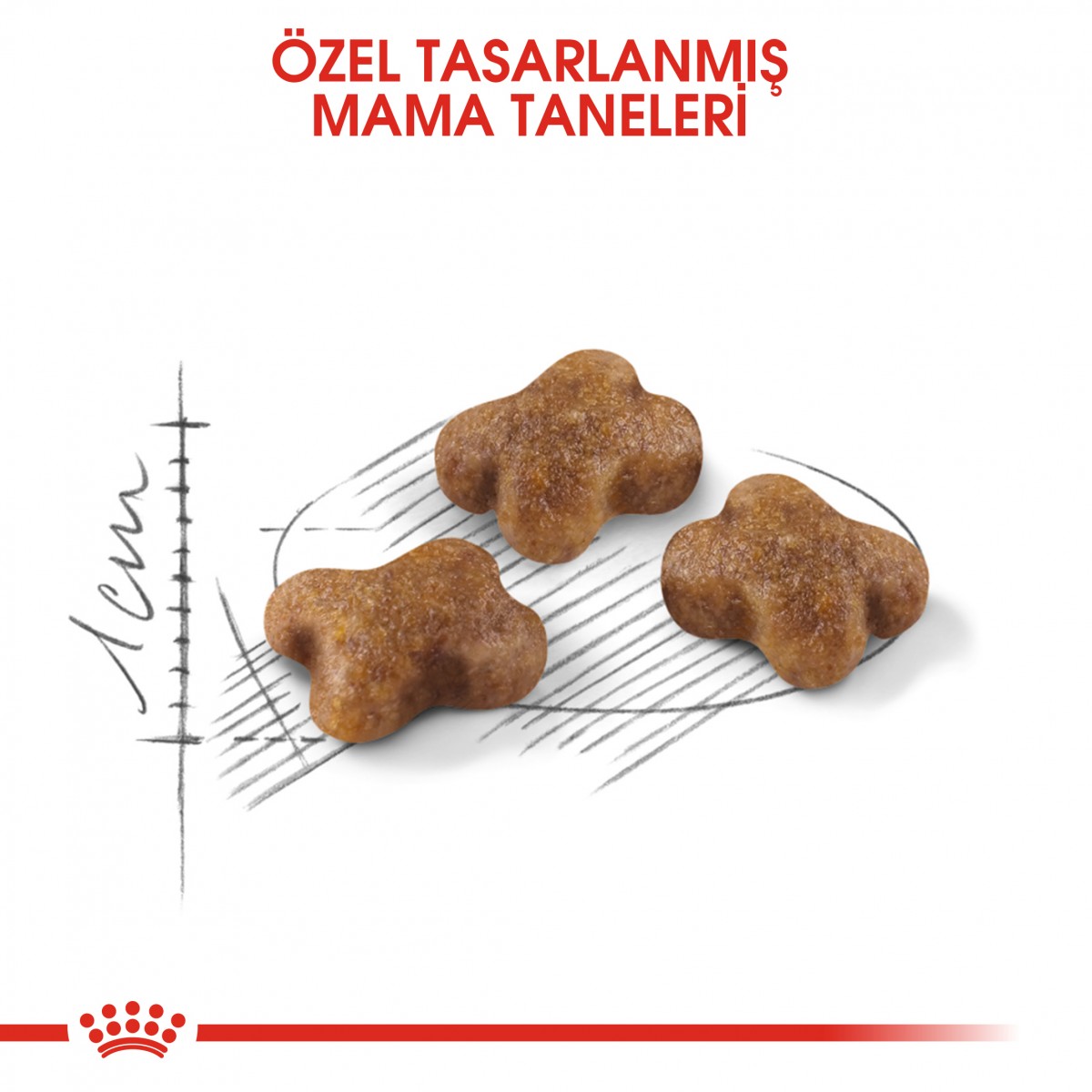 Royal Canin Kitten Yavru Kedi Maması 400 Gr