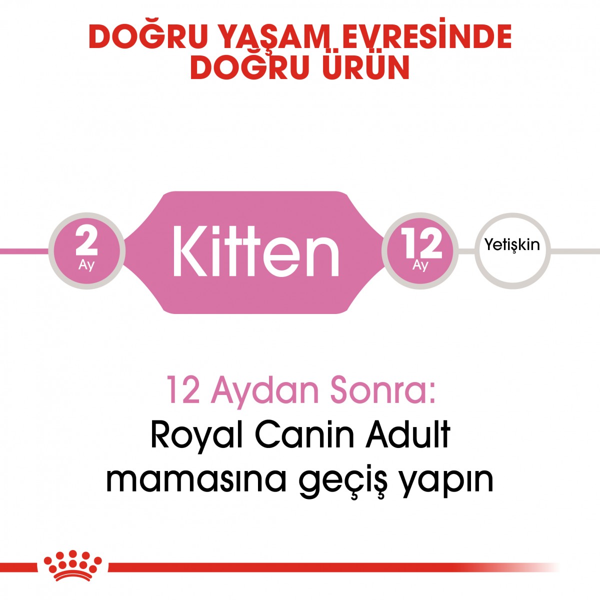 Royal Canin Kitten Yavru Kedi Maması 400 Gr