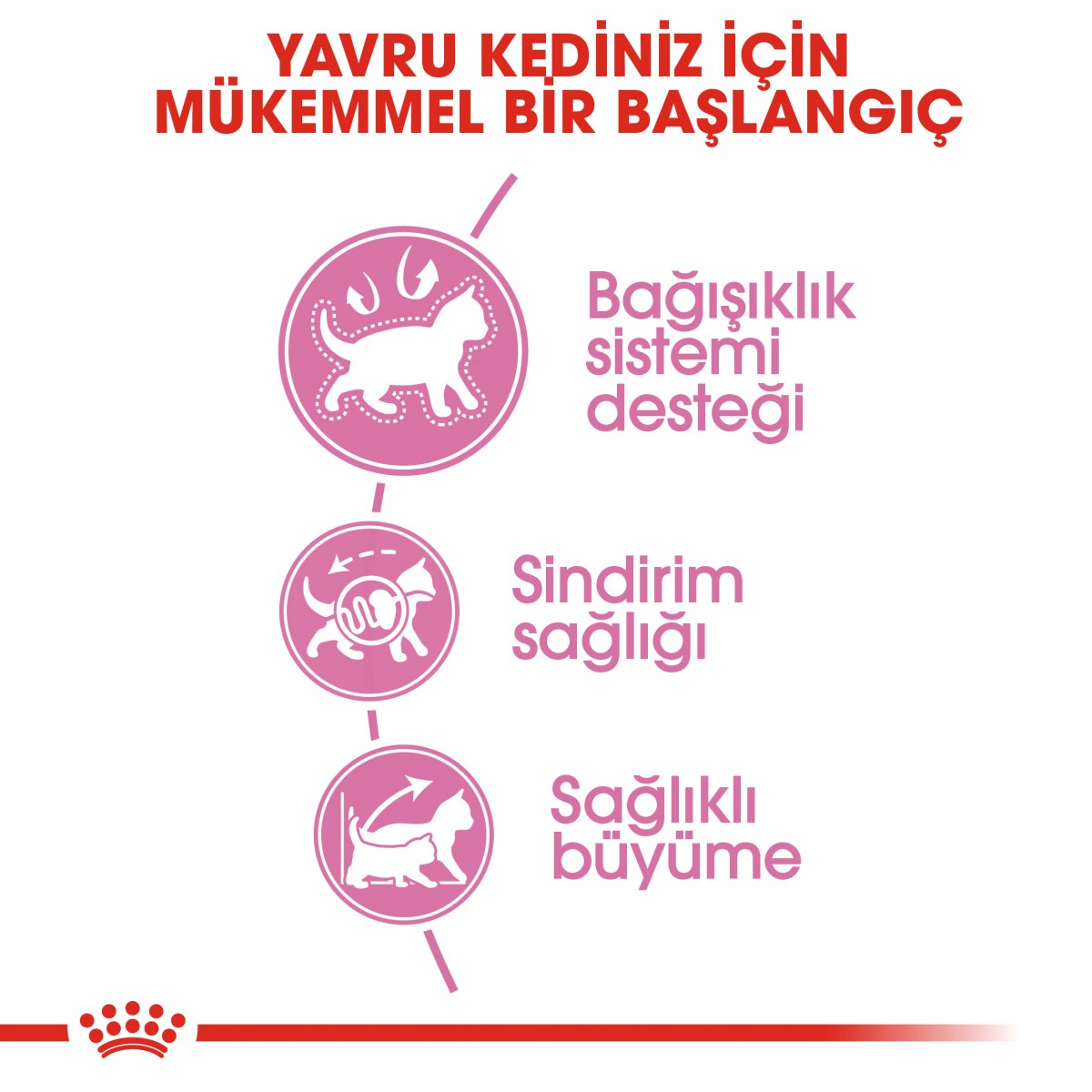 Royal Canin Kitten Yavru Kedi Maması 400 Gr Royal Canin Kitten Yavru Kedi Maması 400 Gr