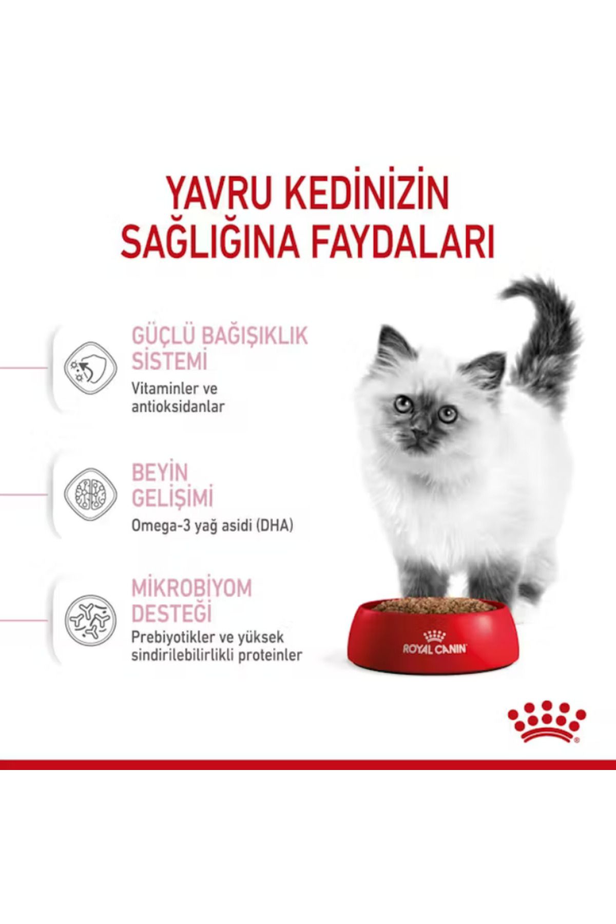 Kitten Yavru Kediler için Kuru Kedi Maması 2kg