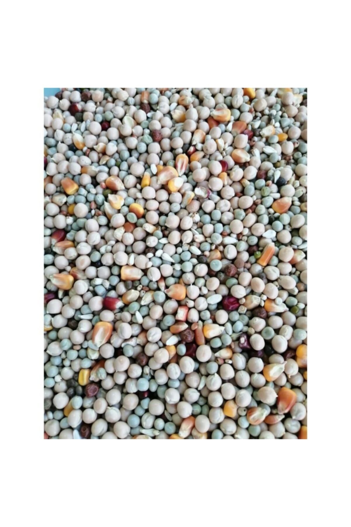 Tippler Kondüsyon Güvercin Yemi-20 Kg