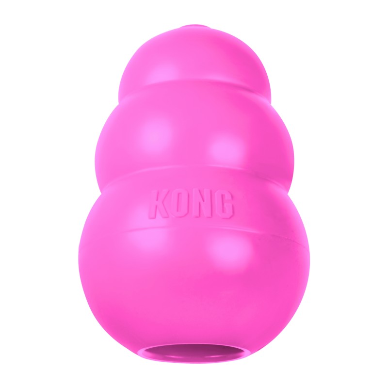 Kong Puppy Küçük Irk Yavru Köpek Oyuncağı Small 8cm