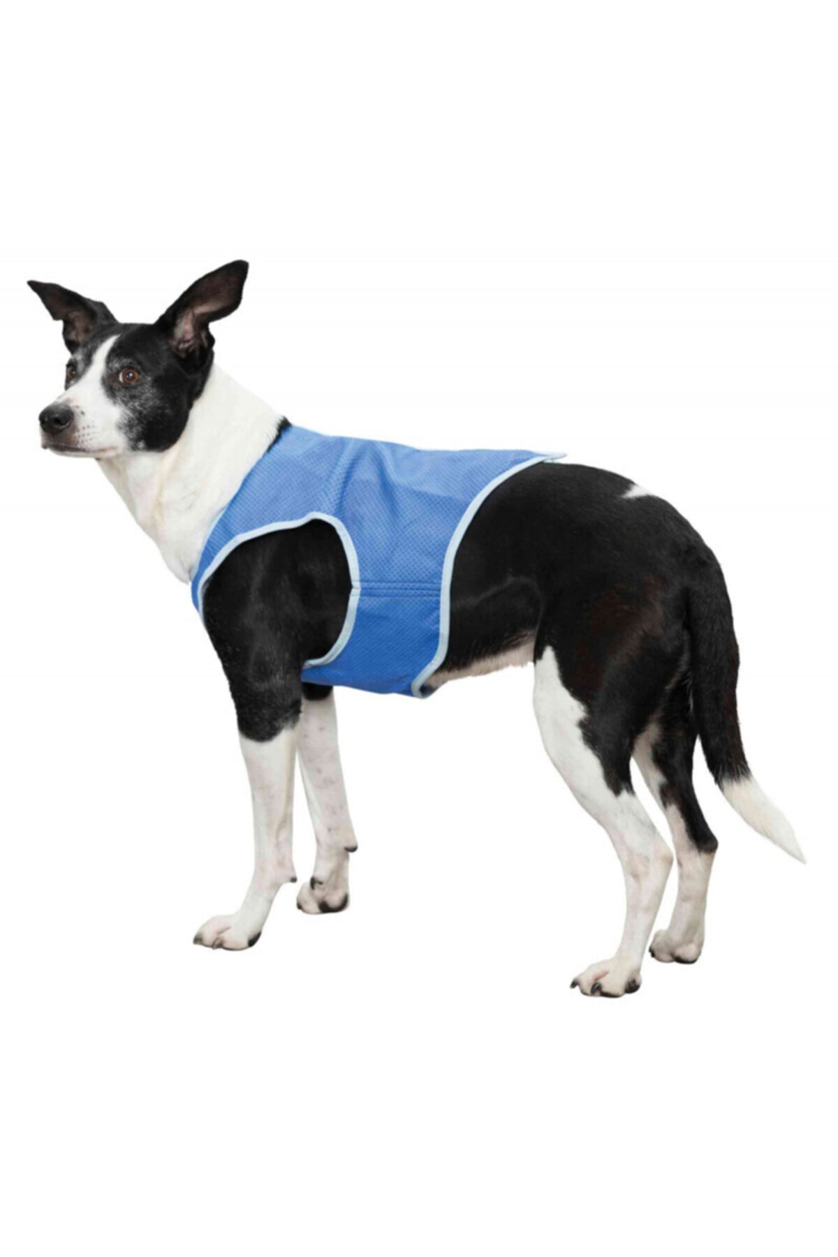 Trixie Köpek Soğutucu Yelek M 30cm Mavi