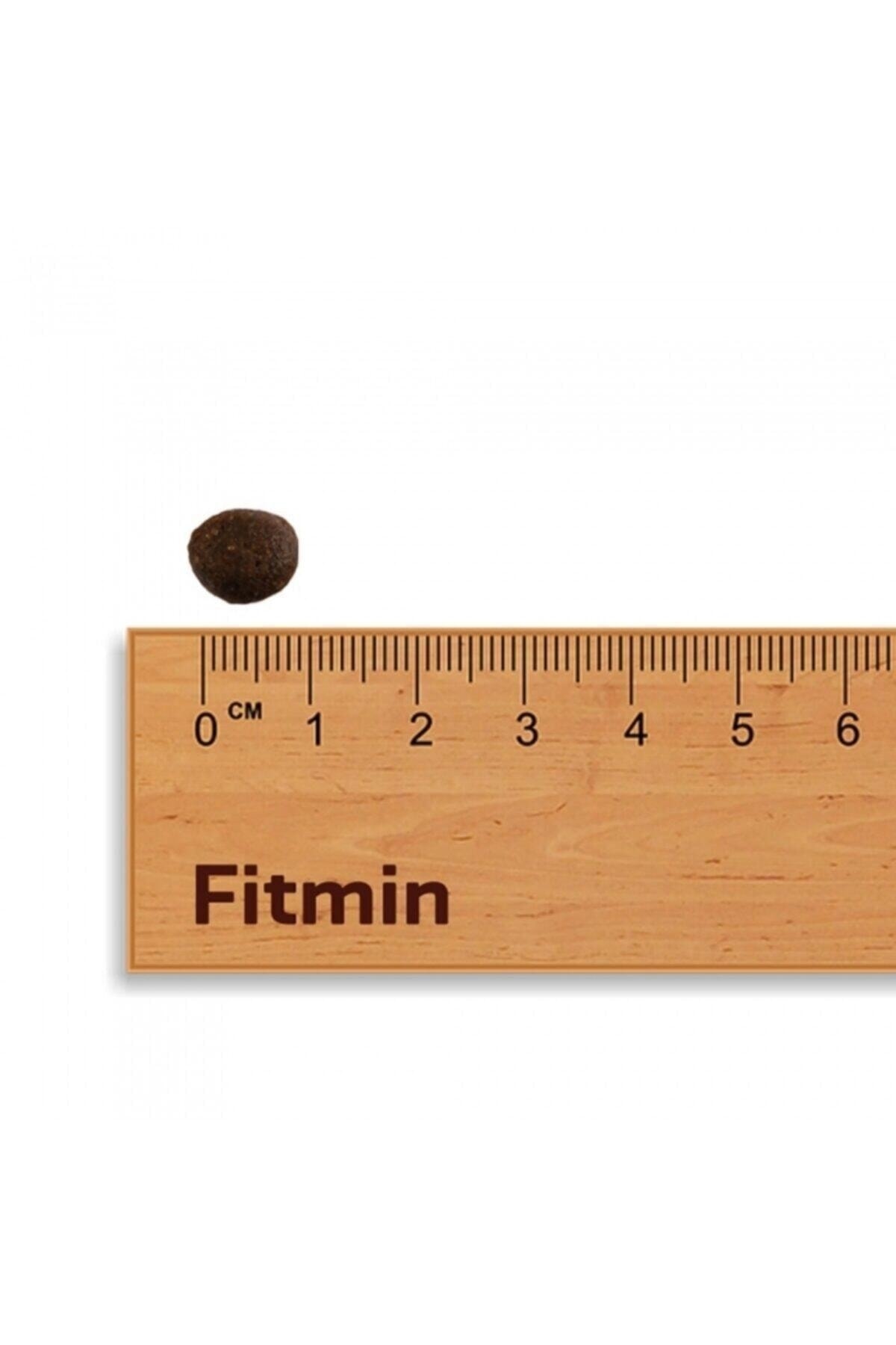 Fitmin Mini Puppy %50 Taze Tavuk Etli Ufak Irk Yavru Köpek Maması 15 Kg