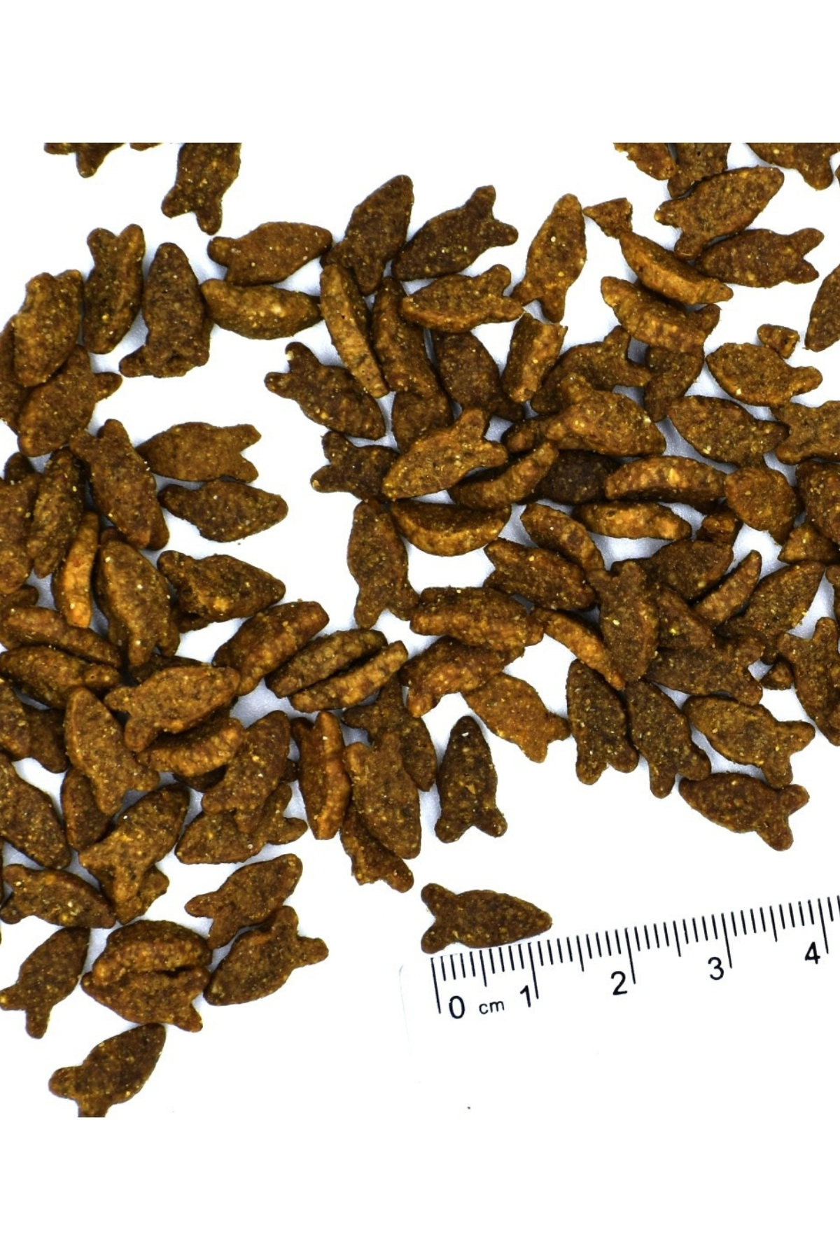 Monge Adult Tek Proteinli Somonlu Yetişkin Kedi Maması 1,5 Kg Monge Adult Tek Proteinli Somonlu Yetişkin Kedi Maması 1,5 Kg