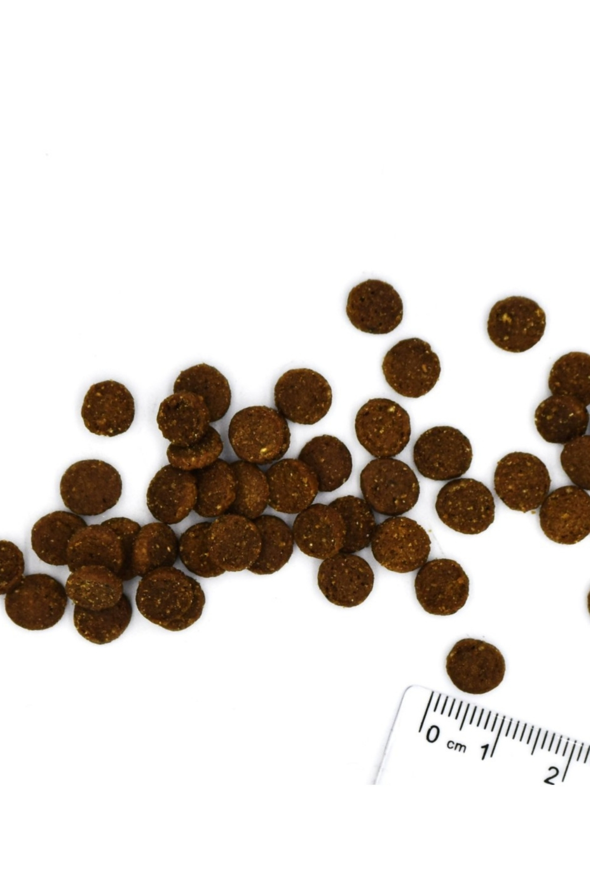 Monge Adult Tek Proteinli Tavşanlı Yetişkin Kedi Maması 1,5 Kg Monge Adult Tek Proteinli Tavşanlı Yetişkin Kedi Maması 1,5 Kg