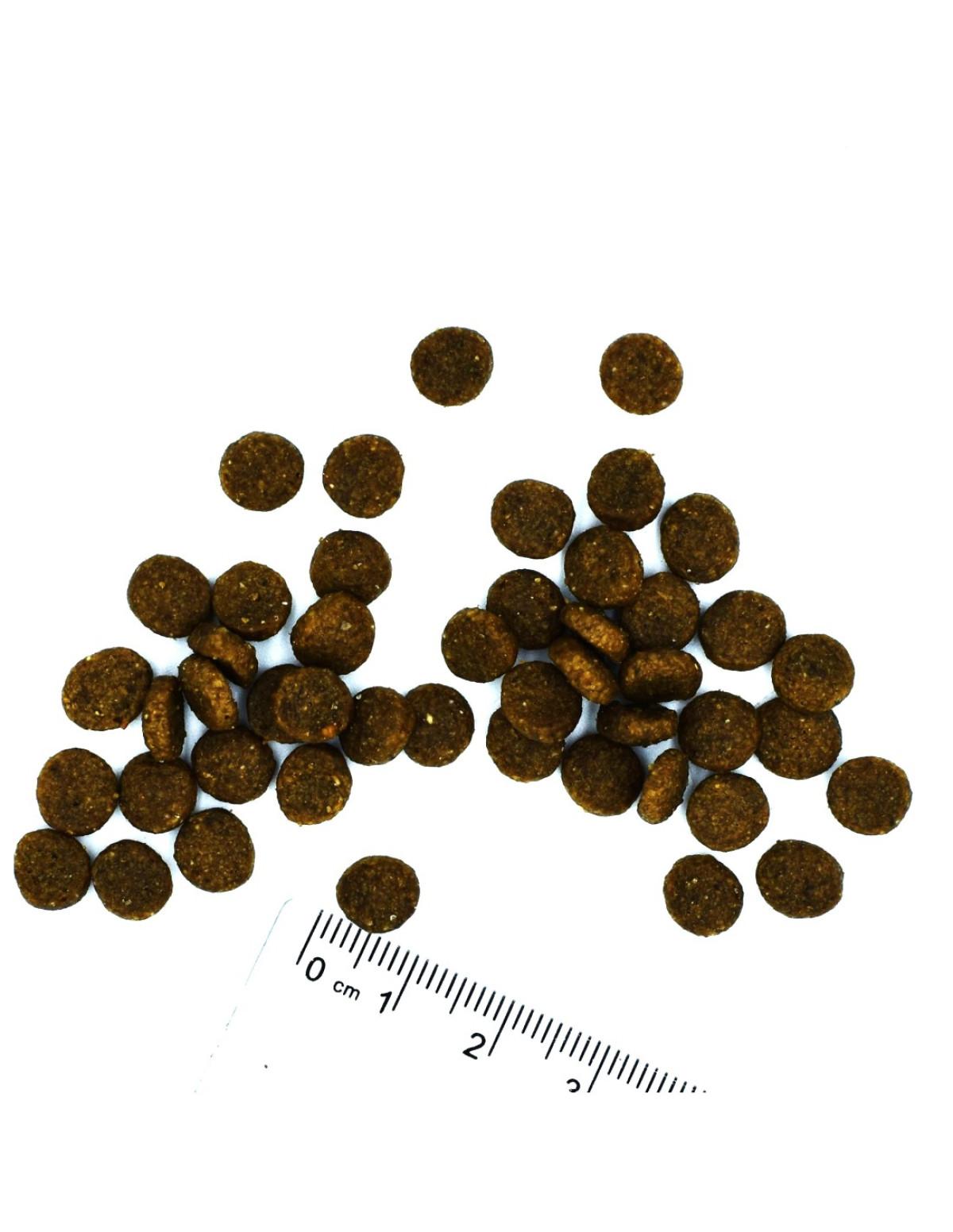 Monge Kitten Tek Proteinli Alabalıklı Yavru Kedi Maması 1,5 Kg Monge Kitten Tek Proteinli Alabalıklı Yavru Kedi Maması 1,5 Kg