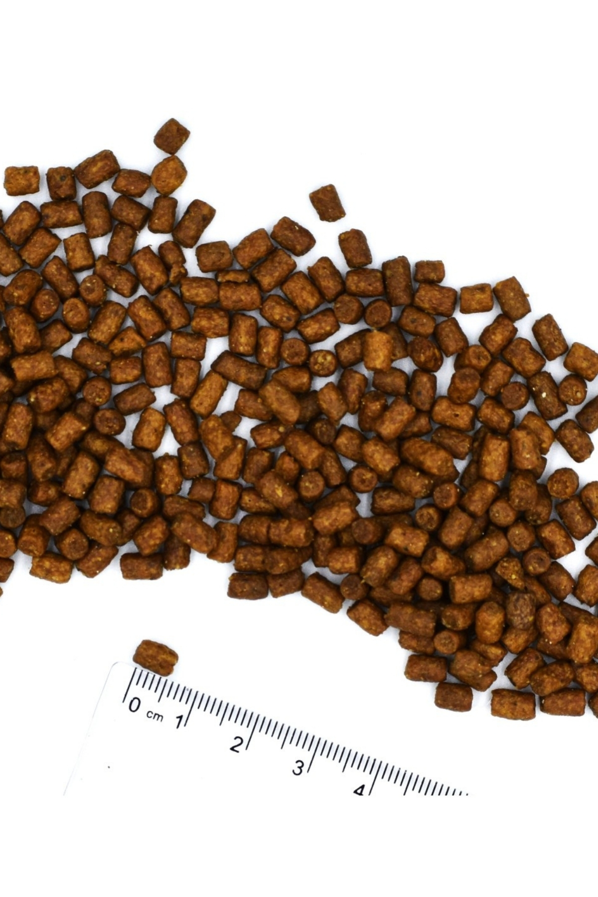 Monge Kitten Tek Proteinli Ördekli Yavru Kedi Maması 1,5 Kg Monge Kitten Tek Proteinli Ördekli Yavru Kedi Maması 1,5 Kg