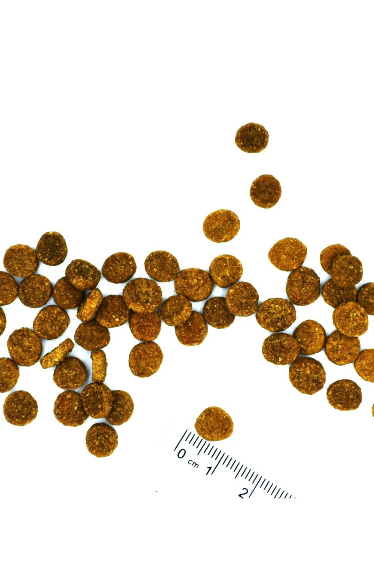 Monge Sterilised Tek Proteinli Alabalıklı Kısırlaştırılmış Kedi Maması 1,5 Kg Monge Sterilised Tek Proteinli Alabalıklı Kısırlaştırılmış Kedi Maması 1,5 Kg