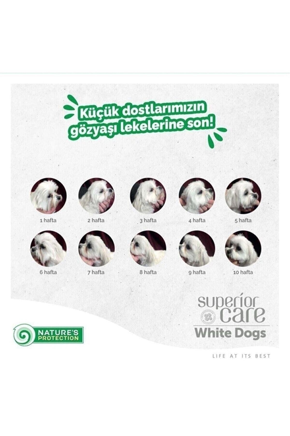 Natures P. White Dogs Tahılsız Somonlu Yetişkin Beyaz Köpek Maması 10+2 Kg