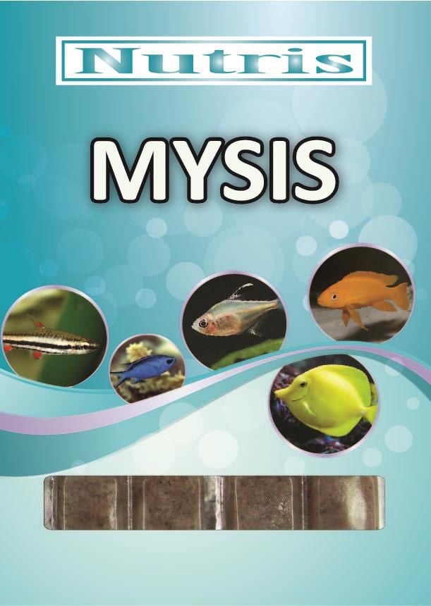 Nutris Mysis Karidesi