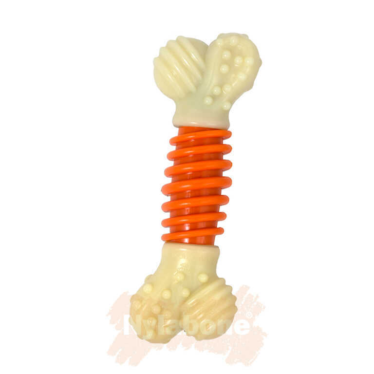 Nylabone Domuz Pastırması Aromalı Köpek Çiğneme Kemiği  S