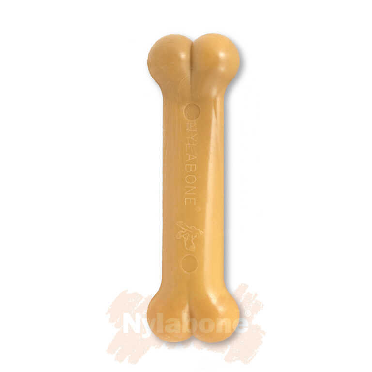 Nylabone Domuz Pastırması Aromalı Köpek Çiğneme Kemiği  XS