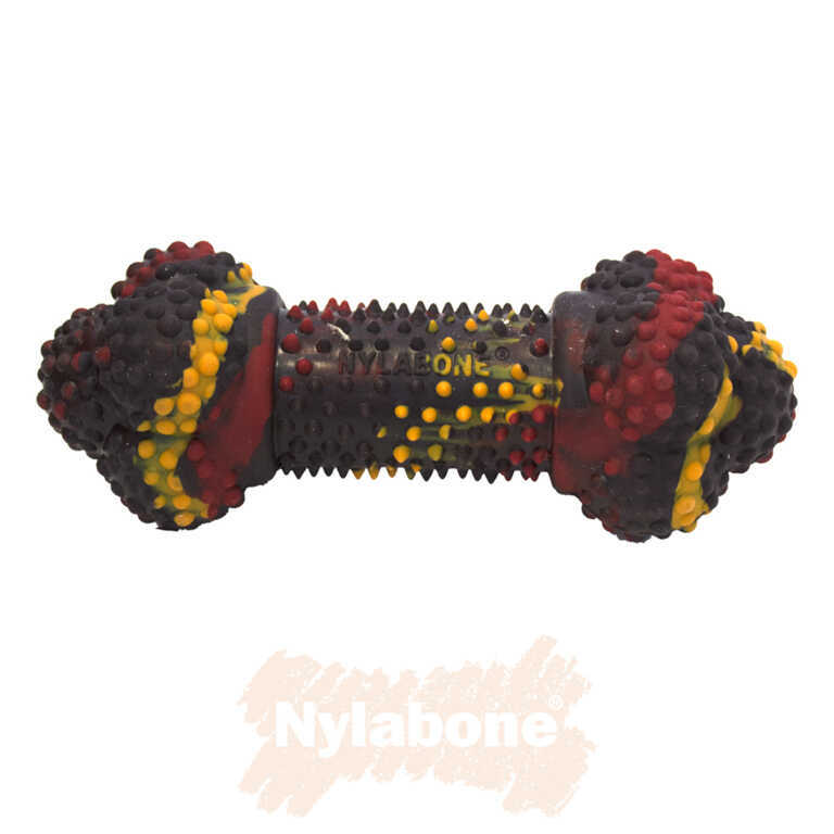 Nylabone Domuz Pastırması ve Cheeseburger Aromalı Köpek Çiğneme Kemiği  S