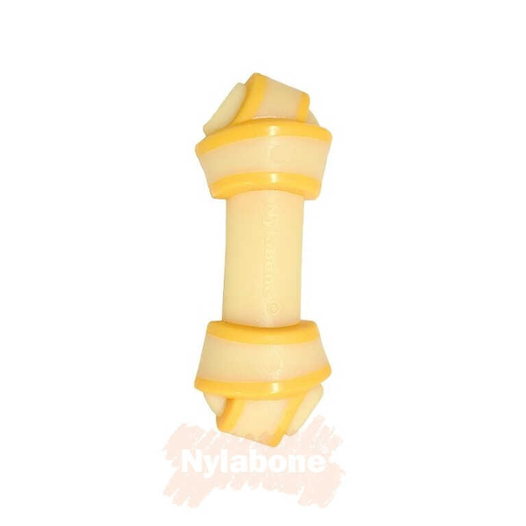 Nylabone Domuz Pastırması ve Peynir Aromalı Köpek Çiğneme Kemiği  M